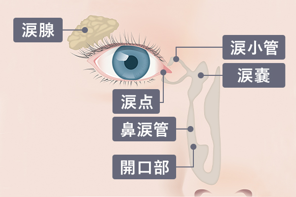 涙目になる原因